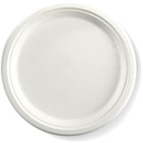 10'' Sugar Cane Fibre Plate ( White ) 100% Compostable 