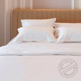 T-300 Preshrunk 100% Combed Cotton Queen Pillowcase 36"x 21" Thomaston Mills USA 6/Pack