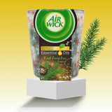 AIRWICK candle forest pine 105g Pack of 12