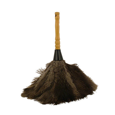 Feather Duster 12" each