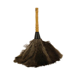Feather Duster 12" each