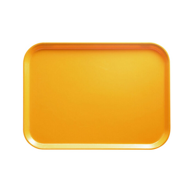 Camtray Tuscan Gold 8" x 9 7/8" 1 dz