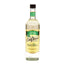 DaVinci Gourmet Single Origin Turkish Hazelnut Natural Syrup PET 750 ml