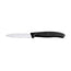 Paring Knife Black Handle 3 1/4