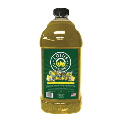 Lotus Old Fashioned Lemonade Concentrate 64 oz