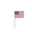 American Flag Pick 2 3/4