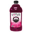 Lotus Zero Sugar Pink Plant Power Concentrate 64 oz