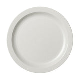 Camwear Plate White 10" 4 dz