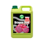 TOR Pina Colada Puree 64 oz