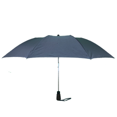 Umbrellas Rain MIST AUTO Short 2 Folds Multicolor 