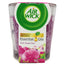 AIRWICK Candle 105G Pink Sweet Pea 6/Pack